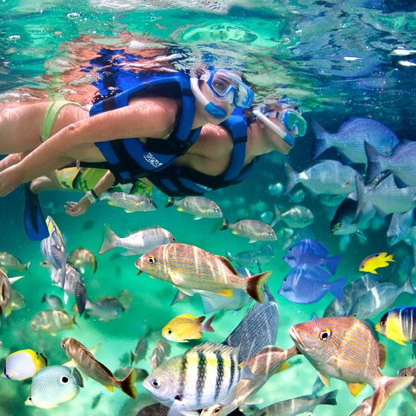 Snorkel en Riviera Maya